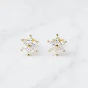 Arete Priya